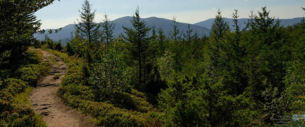 IMGP3531_tapeta.jpeg IMGP3531_tapeta.jpeg